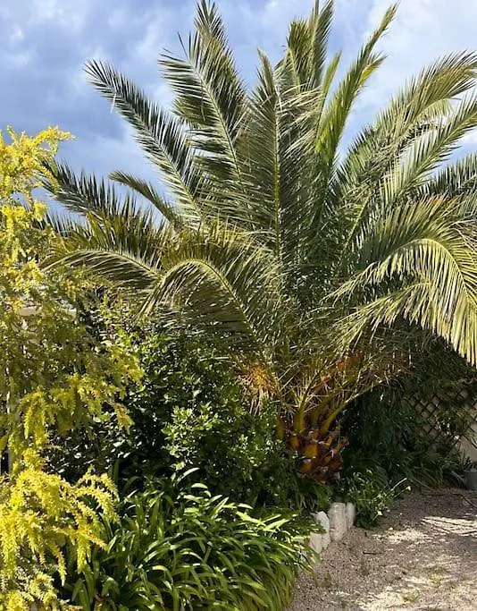 Villa Lou Carou - Vue Mer Et Baie De Nice Cagnes-sur-Mer França